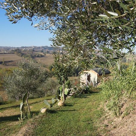 La Luna Nell'Orto-Casa Vacanza Ecologica E Agricoltura Biodinamica Barchi Kültér fotó