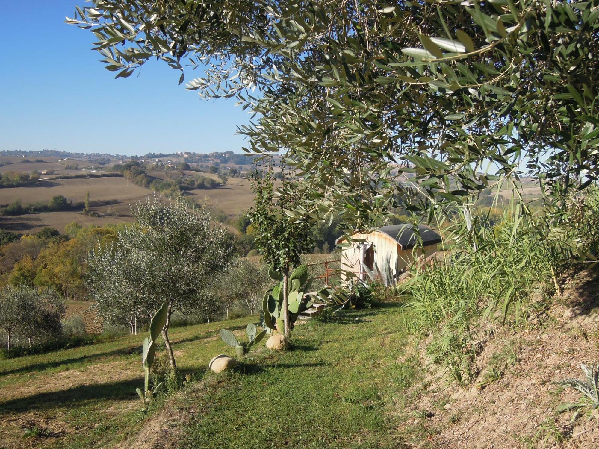 La Luna Nell'Orto-Casa Vacanza Ecologica E Agricoltura Biodinamica Barchi Kültér fotó