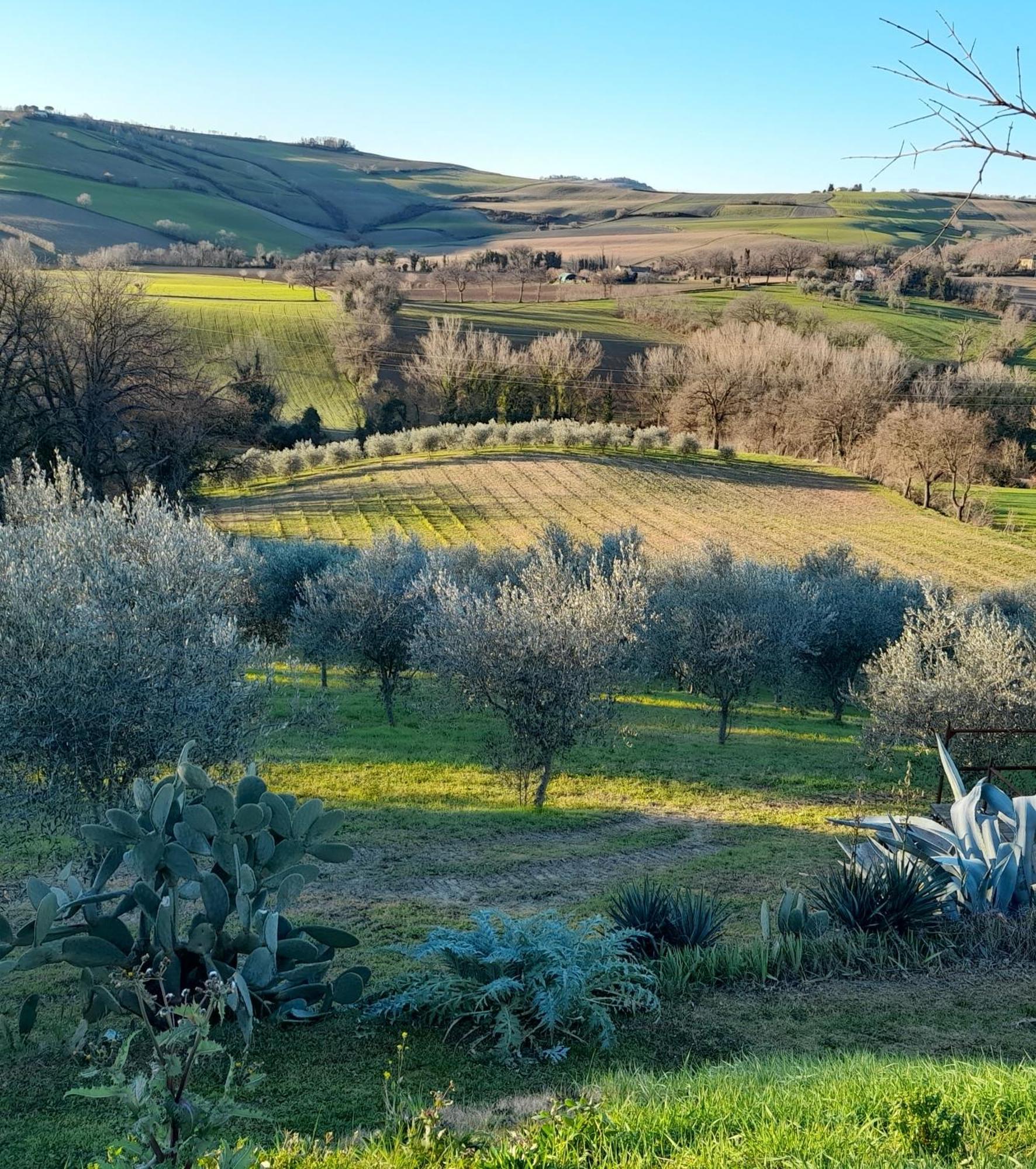 La Luna Nell'Orto-Casa Vacanza Ecologica E Agricoltura Biodinamica Barchi Kültér fotó